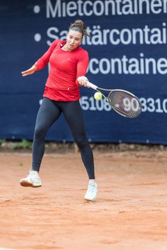 Bild 557 - BL DTV Hannover - BW Dresden Blasewitz : Ergebnis: 2:7